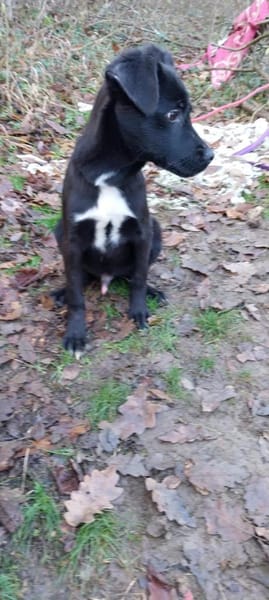 Lino ist ein lieber, süßer Kerl