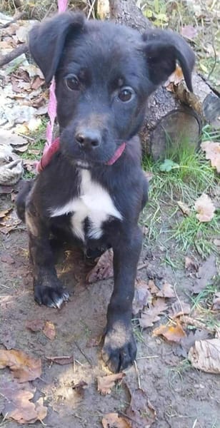 Lino ist ein lieber, süßer Kerl