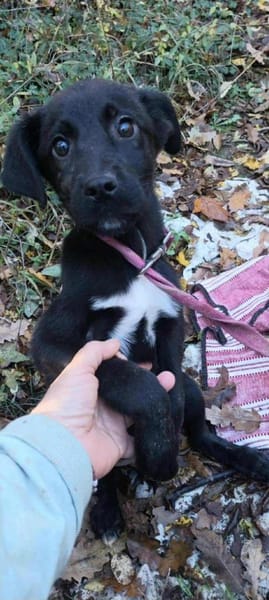 Lino ist ein lieber, süßer Kerl