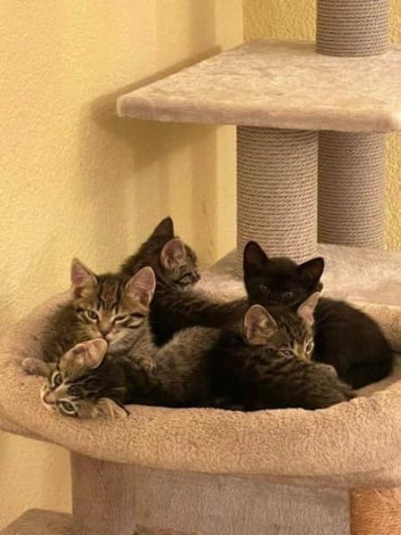 Kleine Zabka sucht ihr Für-Immer-Zuhause