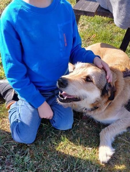 Charlie sucht seinen Menschen