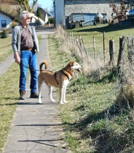 Charlie sucht seinen Menschen