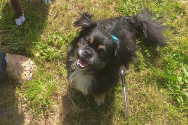 Nannos Charme muss man einfach erliegen!