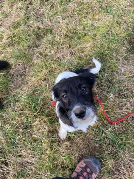 Gabica - kleine Entdeckerin