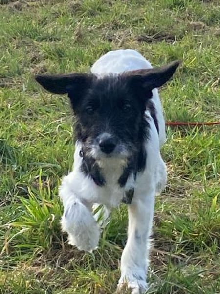 Gabica - kleine Entdeckerin