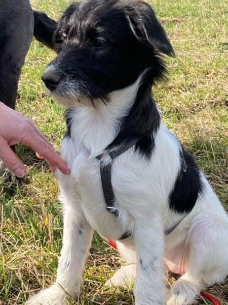 Gabica - kleine Entdeckerin