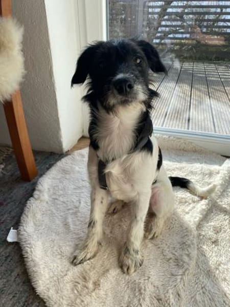 Gabica - kleine Entdeckerin