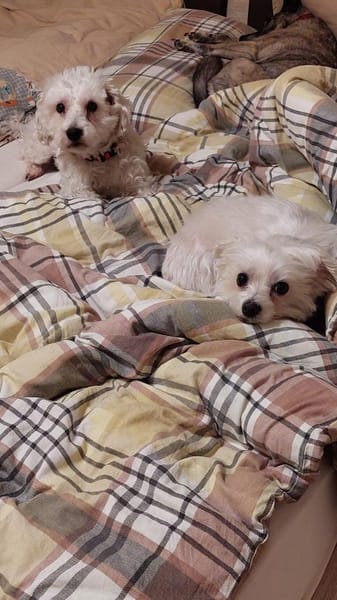 Béni und Suzy aus Hilden