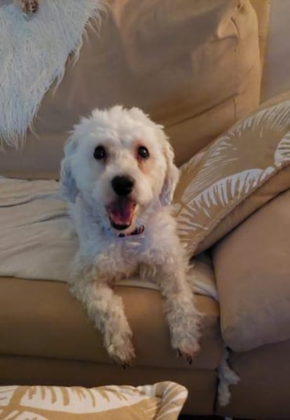 Béni und Suzy aus Hilden