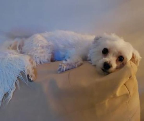 Béni und Suzy aus Hilden