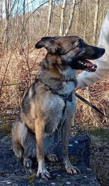 Ejmy - Buddel-Meisterin sucht Garten ;)