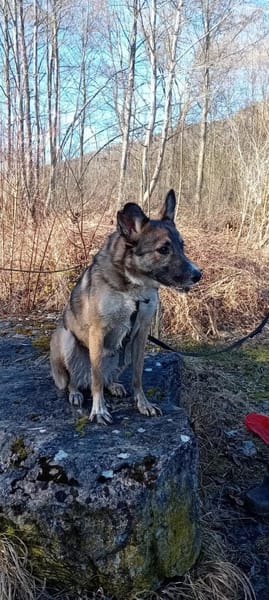 Ejmy - Buddel-Meisterin sucht Garten ;)