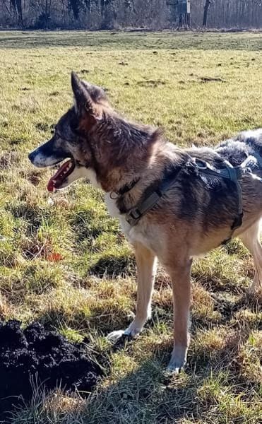 Ejmy - Buddel-Meisterin sucht Garten ;)