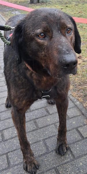 Matty sucht seine Familie