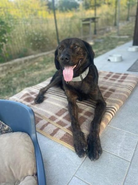 Matty sucht seine Familie