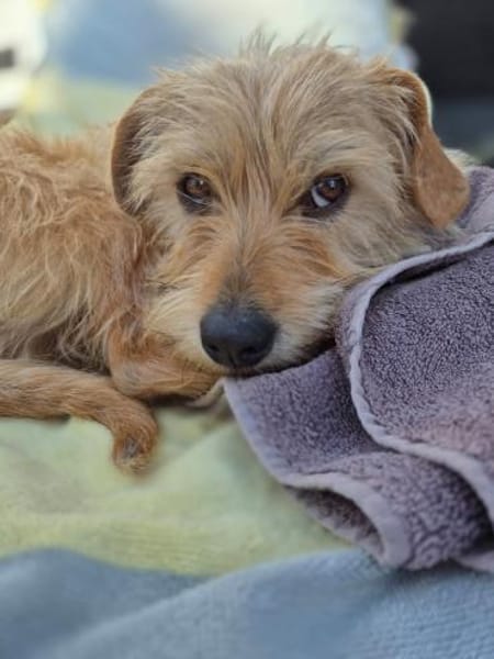 Sunny strahlt wie die Sonne🍀