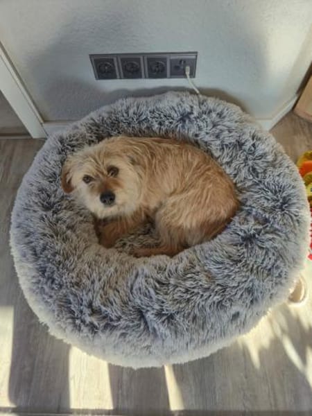 Sunny strahlt wie die Sonne🍀