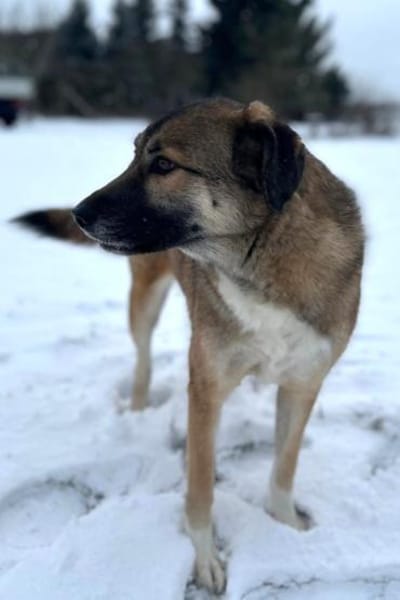 Rey- Alles auf Neustart!