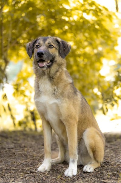 Rey- Alles auf Neustart!