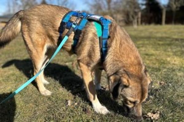 Rey- Alles auf Neustart!