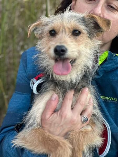 Roshi 1 Jahr W sucht ihren Kuschel Platz