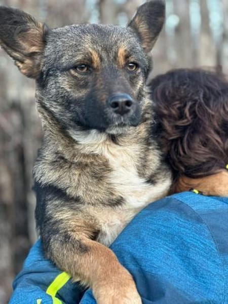 Abby 2023 W sucht ihr Glück