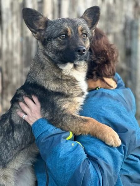 Abby 2023 W sucht ihr Glück