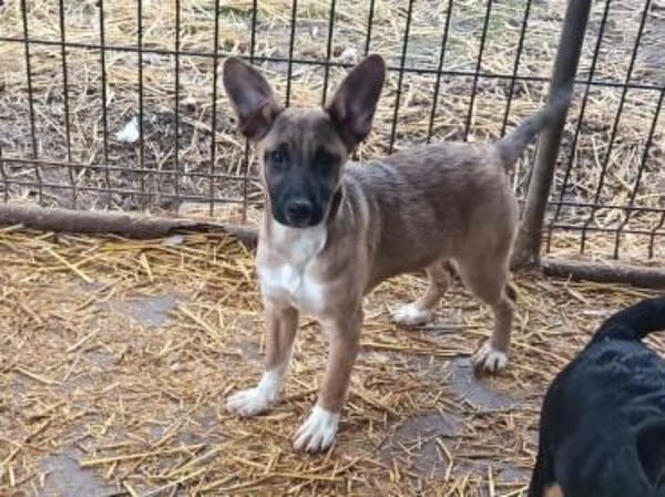 Tizi möchte so gerne reisen