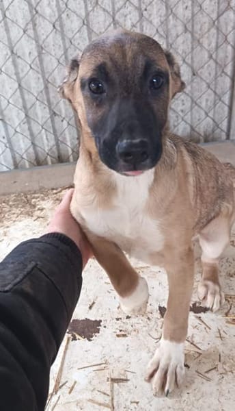 Tizi möchte so gerne reisen