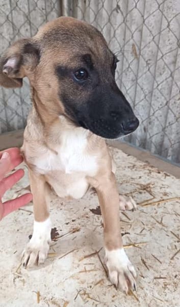 Tizi möchte so gerne reisen