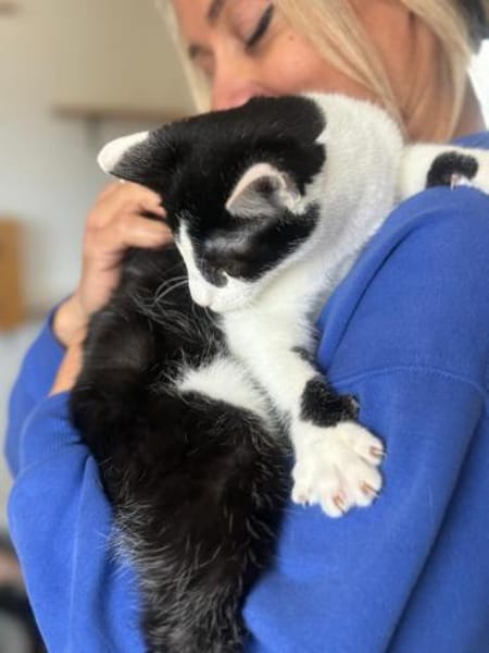 Ella  neugierig trotz Handicap