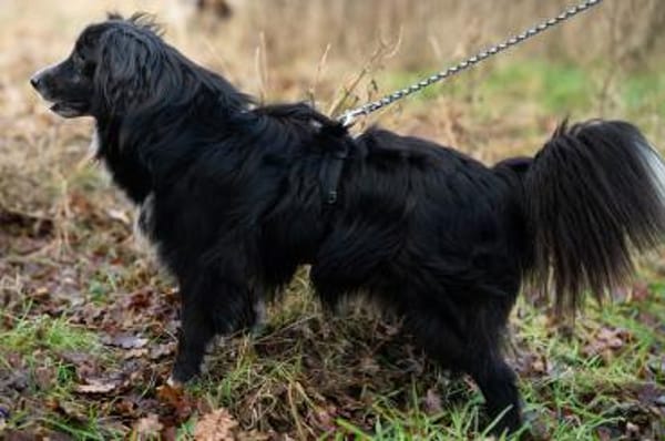 Spielberg will ankommen!