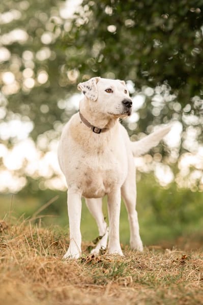 Spicy - will endlich ankommen!