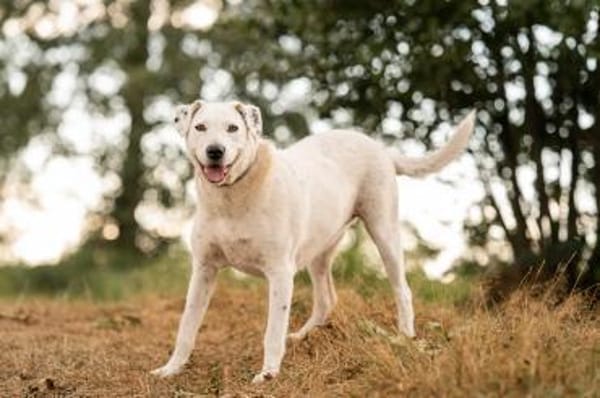 Spicy - will endlich ankommen!