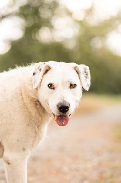 Spicy - will endlich ankommen!