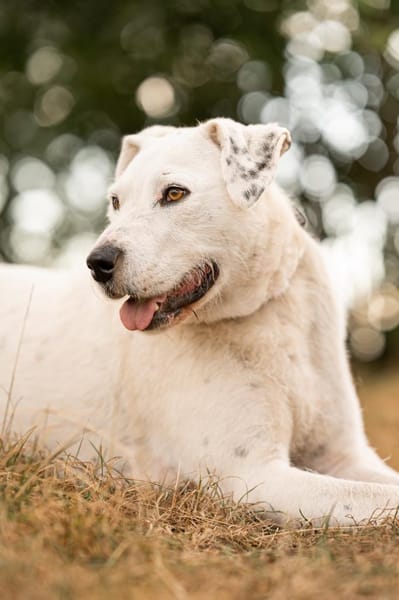 Spicy - will endlich ankommen!