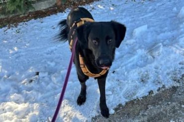 Blacky- Das Glück zum Greifen nah