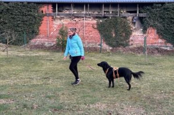 Blacky- Das Glück zum Greifen nah