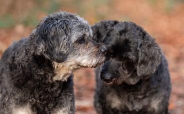 Amy&Terry - Mama&Sohn