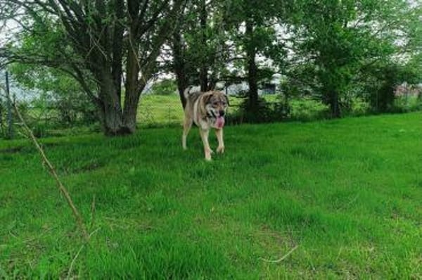 Finn möchte die Welt erobern