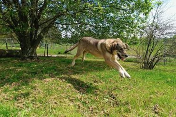 Finn möchte die Welt erobern