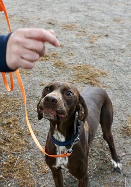 Asia, neugierig, offen, lernwillig