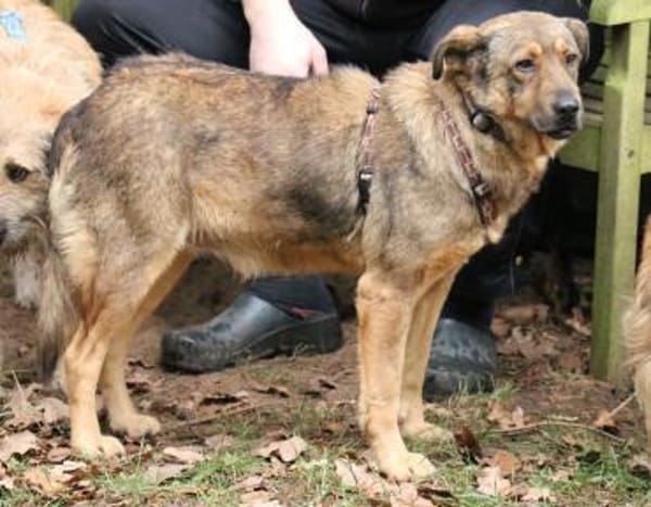 Ferdinand sucht liebevolle Menschen