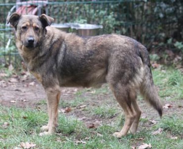 Ferdinand sucht liebevolle Menschen