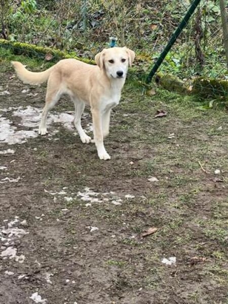 RYA * zartes freundliches Mädchen