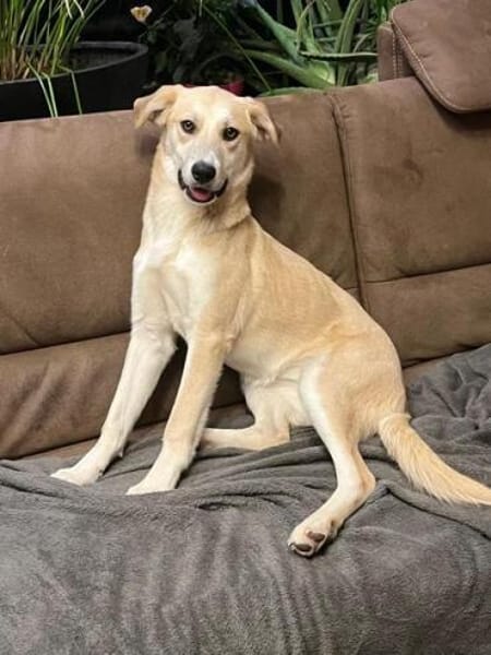 RYA * zartes freundliches Mädchen