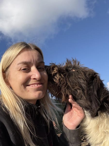 Yasso sucht ein Zuhause / Pflegestelle