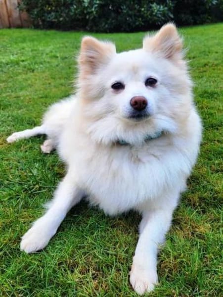 Roma sehnt sich nach Geborgenheit