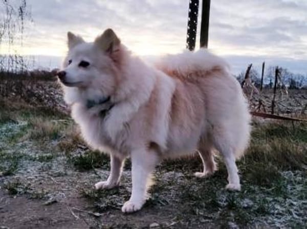 Roma sehnt sich nach Geborgenheit