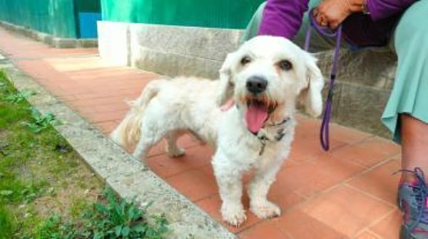 Biri - zur Pflege in Deutschland